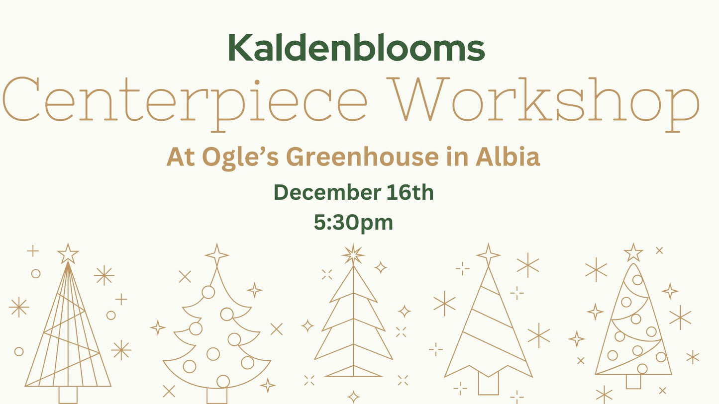 Holiday Centerpiece Workshop