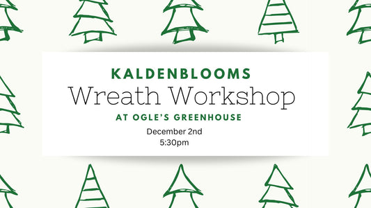 Holiday Wreath Workshop