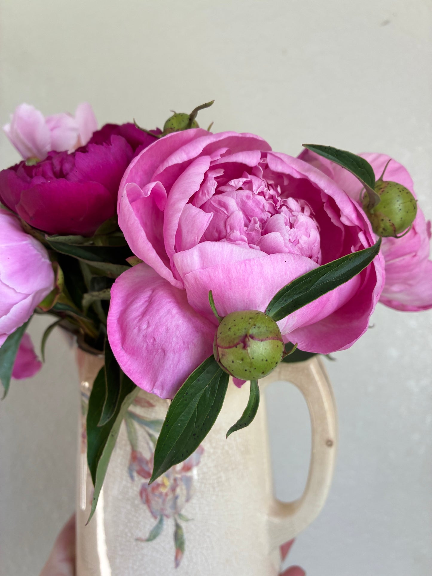 Shipped Peony Bouquets