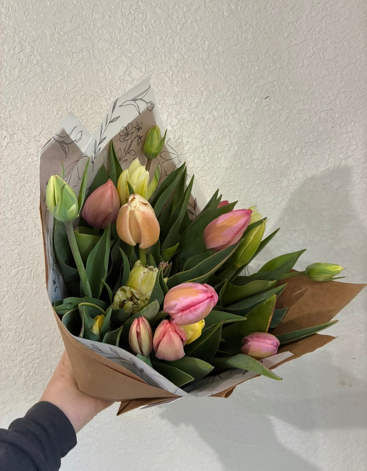 Dance Recital Tulip Preorder